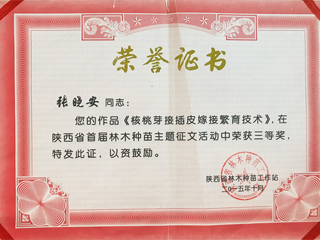 树木嫁接论文获奖荣誉证书