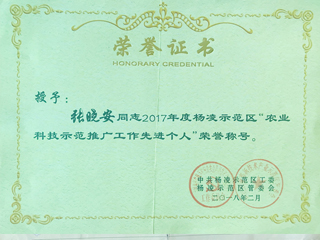 先进工作个人奖